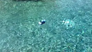 race car spinning out of control on wet surface