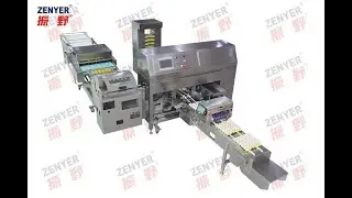 ZENYER 713 farm packer capacity 27000 eggs/hour