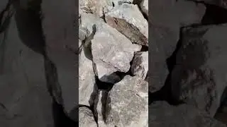 Lithium Ore
