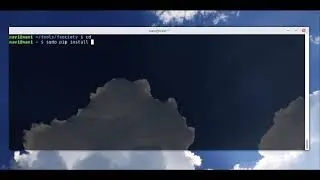 Python solución ImportError: No module named requests