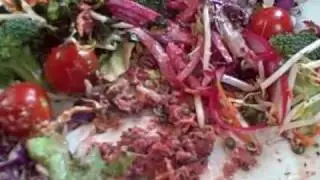 Day 47 of 100 Day Raw Food Challene: Laughing Seed
