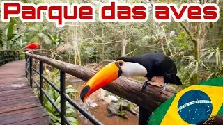 Parque Das Aves BRASIL🇧🇷 2021 turismo en Foz, ❌Sin poder volver a Iguazu Argentina🇦🇷❌.