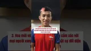 Tại Sao Những Người Chửi Người Yêu Cũ Rất Là Nặng Nhưng Sau Đó Thì Lại Yêu 1 Người Giống Hệt?