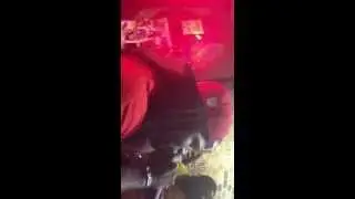 Dr Phill Show Mobile AL 
