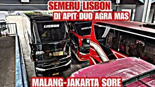 MENYORE HUNTING TERMINAL ARJOSARI,SEMERU SR3 NEO BERANGKAT,YANG JB 5 SUITE COMBI DATANG