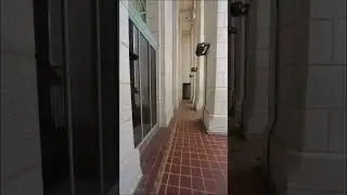 Los Angeles City Hall Observation Deck #thingstodo 🏢 | Stay tuned for next video!