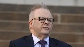 US Democrats ‘critical’ of Albanese’s handling of antisemitism in Australia