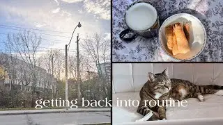 Slow Living | I'm Back, Immersion Sourdough, Reset Day, Shopping, Dinner & Fun w/ Sisters
