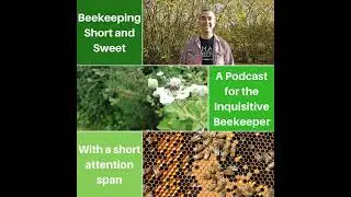 Летняя обработка от клещей Varroa и CBPV S1:E20