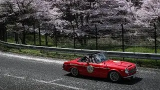 La Festa Primavera 2017