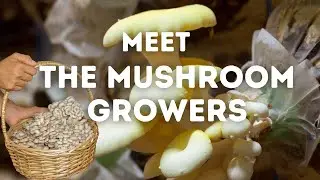 The Rooted Table- Meet The Mushroom Growers