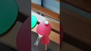 Roter Vs Gr&uuml;ner Tischtennis-Schl&auml;ger #tischtennis #short #viralshort #memes