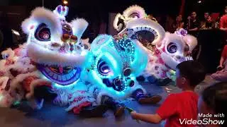 Chinese new year 2019, lion dance troupe, Singapore