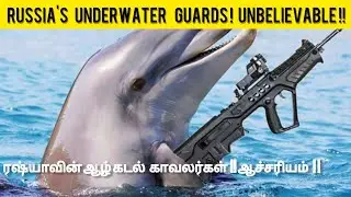 Underwater Military Dolphins ?! | டால்பின் ராணுவமா?!  | Tamil | Rilton's View