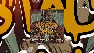 ASLN - Heights [Afro House - Mustache Crew Release]