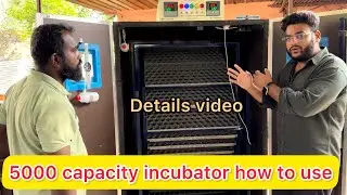 How to make egg Incubator at home ￼| incubator for Chicken eggs | hechri machine price  ￼