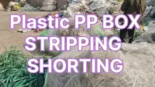 Plasti pp box stepping sorting #machine #business 