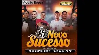 BANDA NOVO SUCESSO SELE&Ccedil;&Atilde;O BREGA & AMADO BATISTA  2025