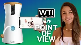 Our Point of View on Furbo Dog Cameras From Amazon