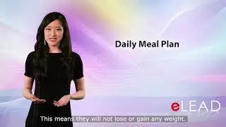 eLEAD green screen Clip 4 - Daily meal plan