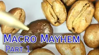 Macro Mayhem - Home Roasted Coffee Part 1