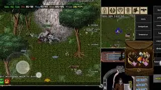 Ultima Online Mobile