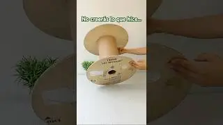De Basura a Lujo! Una Incre&iacute;ble Idea de Reciclaje  #diy #manualidades #hazlotumismo