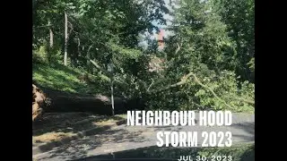 Last Night&rsquo;s Storm Damage in NW Washington DC