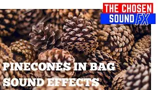 Pinecones In a Bag - 
