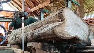 The process of making furniture boards from teak wood