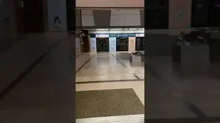 Downtown Line MRT Doors Closing at Bedok North Station