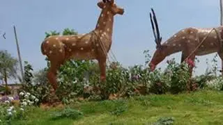 Vikhyat Harithavanam - Bhongiri, Hyderabad