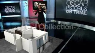 PISTORIUS TRIAL: VIRTUAL SCENE OF THE SHOOTING