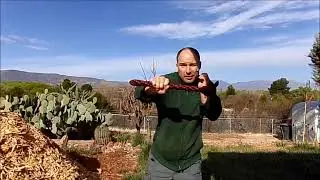 Striking With a Cudgel vs Striking With a Warhammer, Hatchet, or Tomahawk
