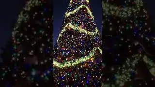 VLOGMAS DAY 23 | 23.12.2022