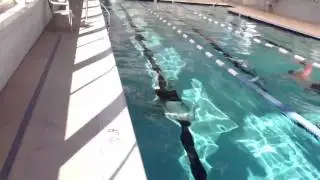 50m swim underwater. (Seal candidate)