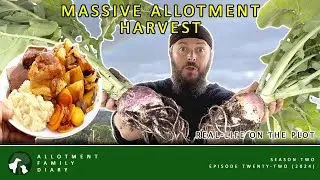Allotment Harvest from Plot to Plate | Allotment Vlog 🍽️ Ep. 22 🍽️