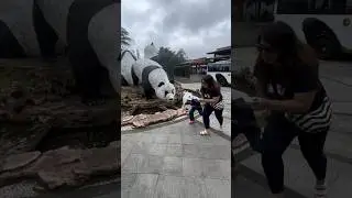 dikejar panda raksasa