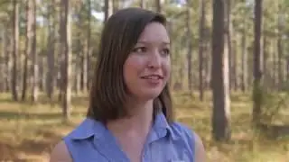 FarmHer Casey Cox Shows Off Her Longleaf Pine Forest