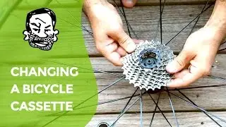 How to change a bicycle cassette