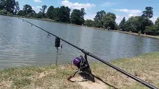 grass carp run