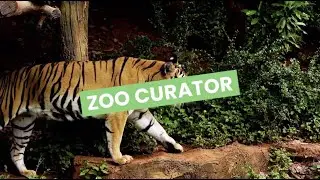 Discover Careers: Zoo Curator | Sortyourfuture
