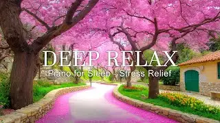Tranquil Music &ndash; Calm Thoughts, Stress Relief, Deep Sleep