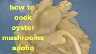 OYSTER MUSHROOM ADOBO RECIPE/QUICK, EASY AND HEALTHY