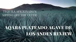 Aqara Plateado Agave de los Andes Review