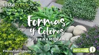 Follaje Artificial Instagreen - Formas que Enamoran