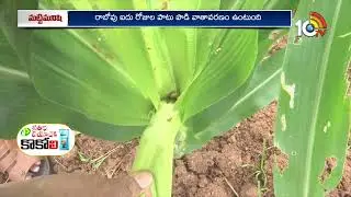 వాతావరణం-వ్యవసాయం | Weather Conditions | Weather Forcast | Matti Manishi | 10TV News