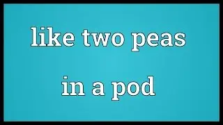 Like two peas in a pod Meaning