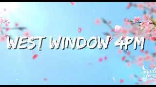 West Window 4pm (Lyrics Video) - Jayed | made for us
