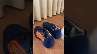 Un sachet de th&eacute; pour d&eacute;sodoriser ses baskets